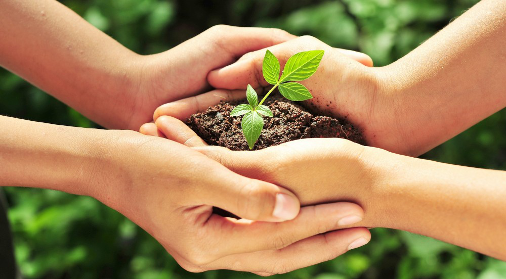 Eco friendly Habits That You Can Embrace In Your New Home Satyamev Group